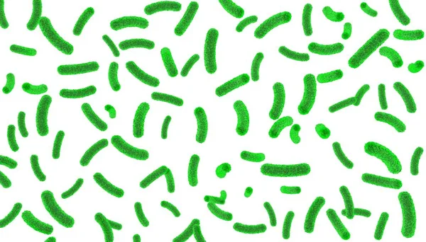 Green bacteria inside the body on a white isolated background — Stock Photo, Image