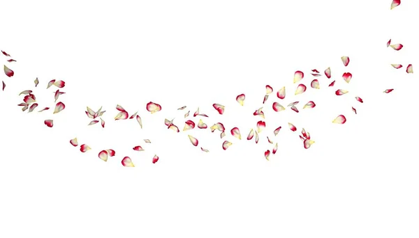 Czerwone płatki róż latać w kółko. Centrum wolnego miejsca na zdjęcia lub tekst — Zdjęcie stockowe