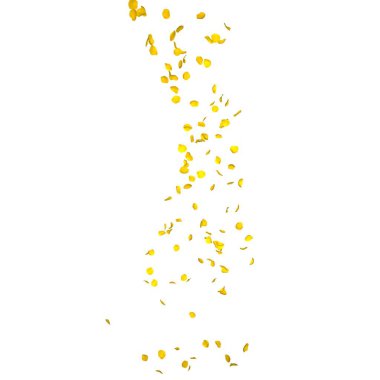 Bir sarı gül yaprakları çok mesafe içine sinek