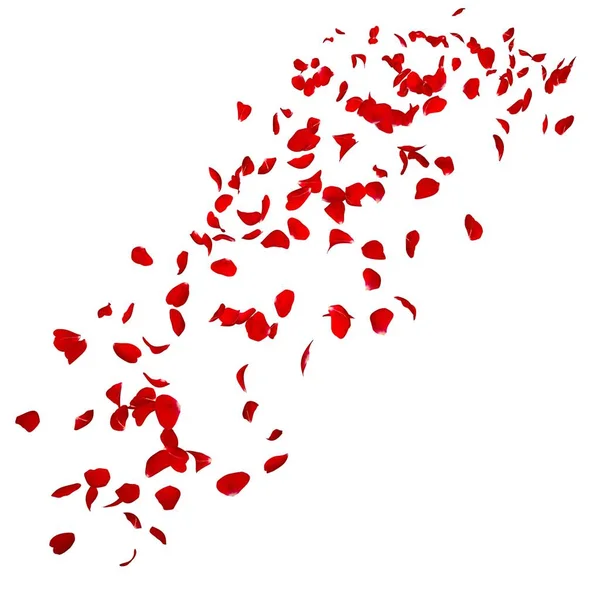 The petals of a dark red rose fly far into the distance — Stock Photo, Image