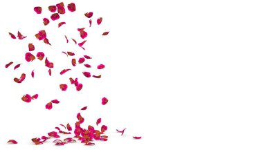 Gül yaprakları yere güzel düşmek