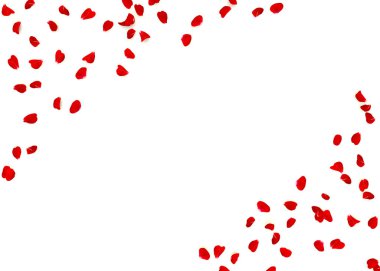 Gül yaprakları yere saçılmış. Tasarımın için boş yer var.