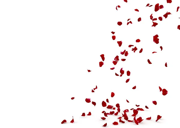 Pétales de rose tombent magnifiquement sur le sol — Photo