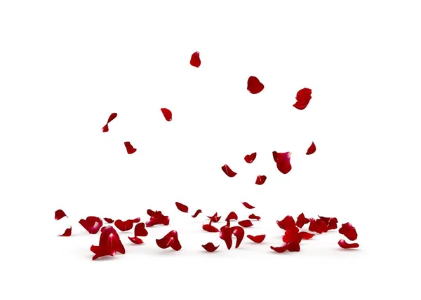 Rose petals fall beautifully on the floor — Stock Photo, Image