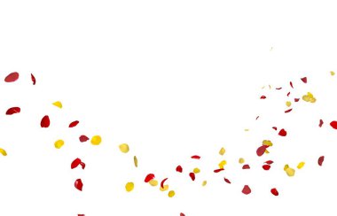 Sarı ve kırmızı gül yaprakları havada uçuşuyor. İzole edilmiş beyaz arkaplan