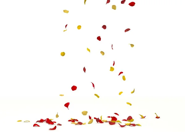 黄色と赤のバラの花びらが床に落ちる 隔離された白い背景 — ストック写真