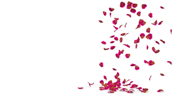 Petali Rosa Cadono Splendidamente Sul Pavimento Isolato Sfondo Bianco — Foto Stock