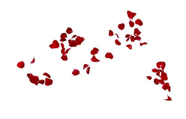 Rode Rozenblaadjes Vliegen Lucht Geïsoleerde Witte Achtergrond — Stockfoto