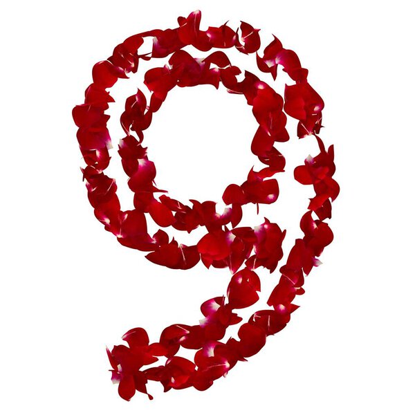 The number "9" is made of red rose petals. Isolated white background
