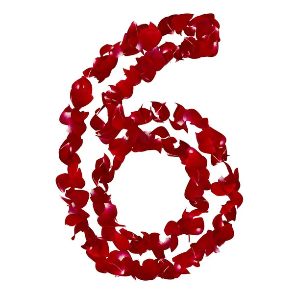 Number Made Red Rose Petals Isolated White Background — Stock Photo, Image