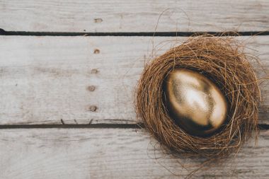 Golden Easter egg in nest  clipart