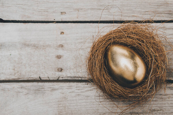 Golden Easter egg in nest 