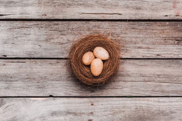 Easter eggs in nest — Stock Photo, Image