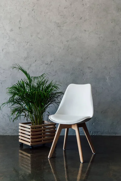 Modern white chair — Stock Photo, Image