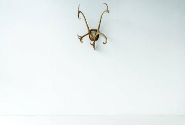 Deer horns on wall clipart