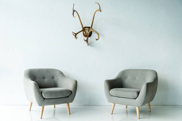 gray armchairs and antlers on wall