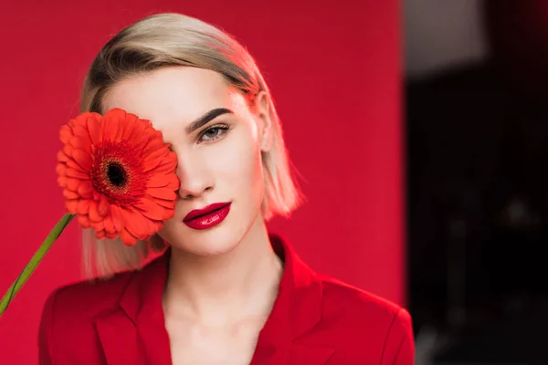 Fille avec gerbera rouge — Photo