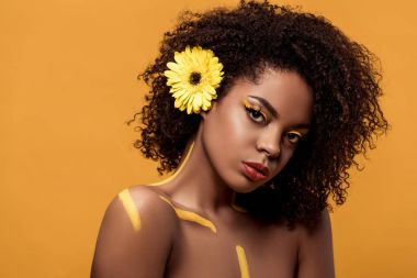 Parlak Afro-Amerikan olan kadın sanatsal makyaj ve saç üzerinde turuncu arka plan izole gerbera