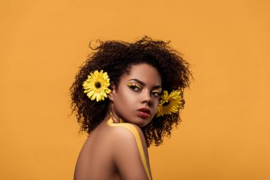 Parlak Afro-Amerikan olan kadın sanatsal makyaj ve saç üzerinde turuncu arka plan izole gerbera