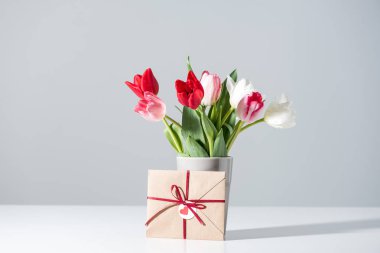 beautiful blooming tulip flowers in vase and envelope on grey clipart