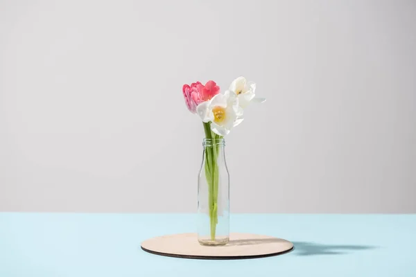 Beautiful Blooming Tulip Flowers Glass Bottle Studio Shot — Stock Photo, Image