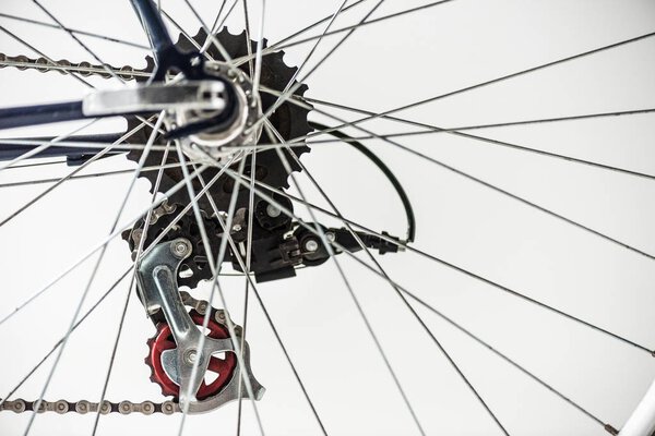 bicycle gears and spokes isolated on white