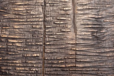 close-up shot of cracked wooden material texture