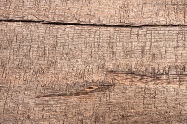 close-up shot of brown wooden texture