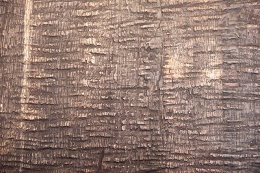 close-up shot of brown wooden texture clipart