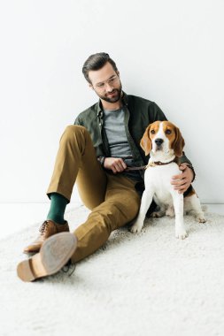 yakışıklı adam kucaklama şirin beagle halı üzerinde