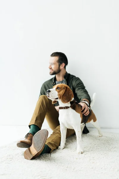 Handsome Man Sitting Cute Beagle Carpet — Stock Photo, Image
