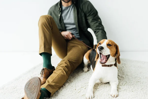 Imagen Recortada Hombre Sentado Con Perro Bostezo Alfombra — Foto de Stock