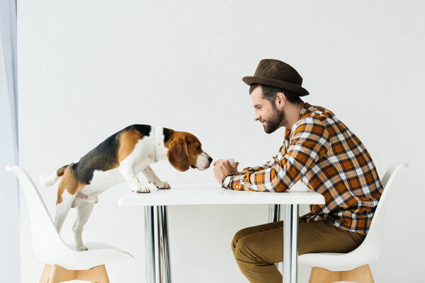 side view of dog sniffing food in man hand