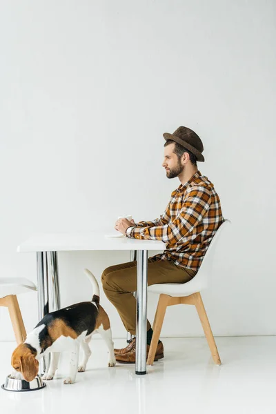 Side View Man Dog Kitchen — Stock Photo, Image