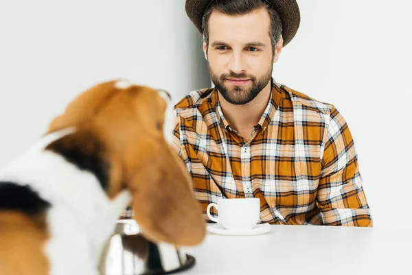 Mann Sitzt Tisch Und Schaut Hund — kostenloses Stockfoto