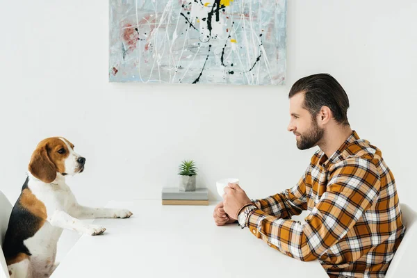 Widok Boku Biznesmen Siedzi Przy Stole Kawą Patrząc Psa — Zdjęcie stockowe