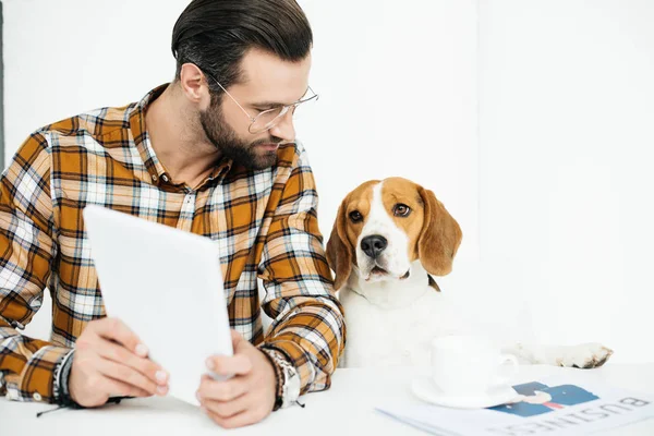 ハンサムな実業家とタブレットでテーブルに座っている犬 — ストック写真