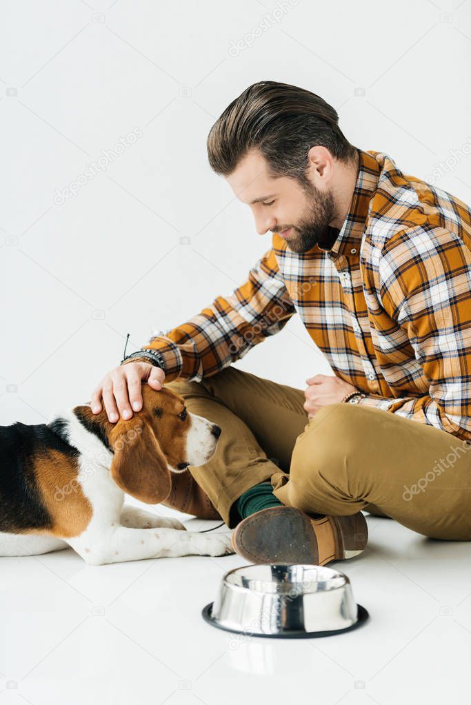 man palming cute beagle near pet bowl