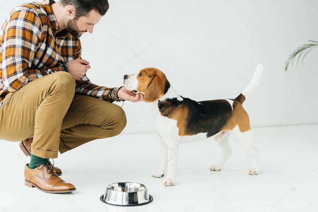 side view of man palming dog near pet bowl