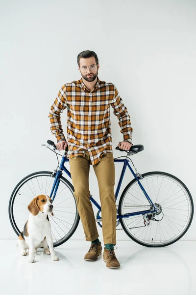 英俊的 Bicycler 站在猎犬和看在白色的相机 — 图库照片