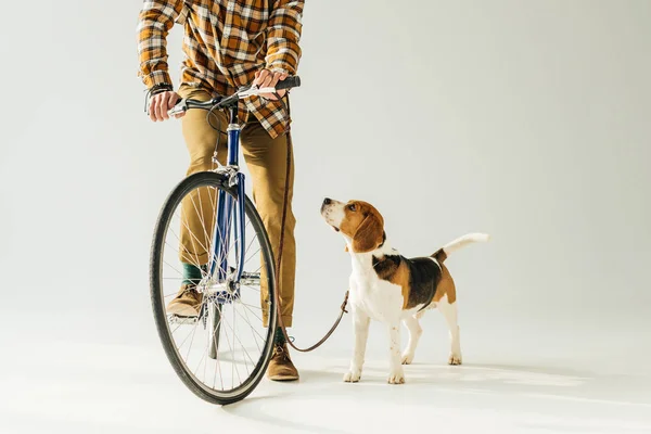 Обрезанное Изображение Велосипедиста Собакой Белом — стоковое фото