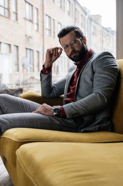 yakışıklı şık zarif adam kanepede oturan gözlüklü