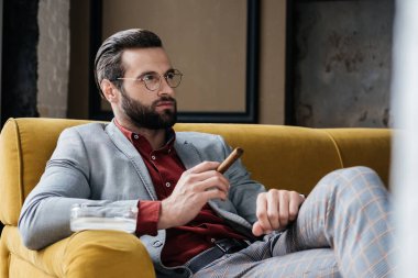 şık adam puro ve kanepede oturan kül tablası