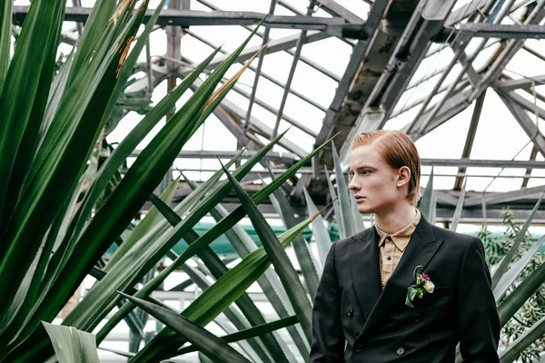 Portrait Fashionable Young Red Hair Man Glasshouse — Stock Photo, Image