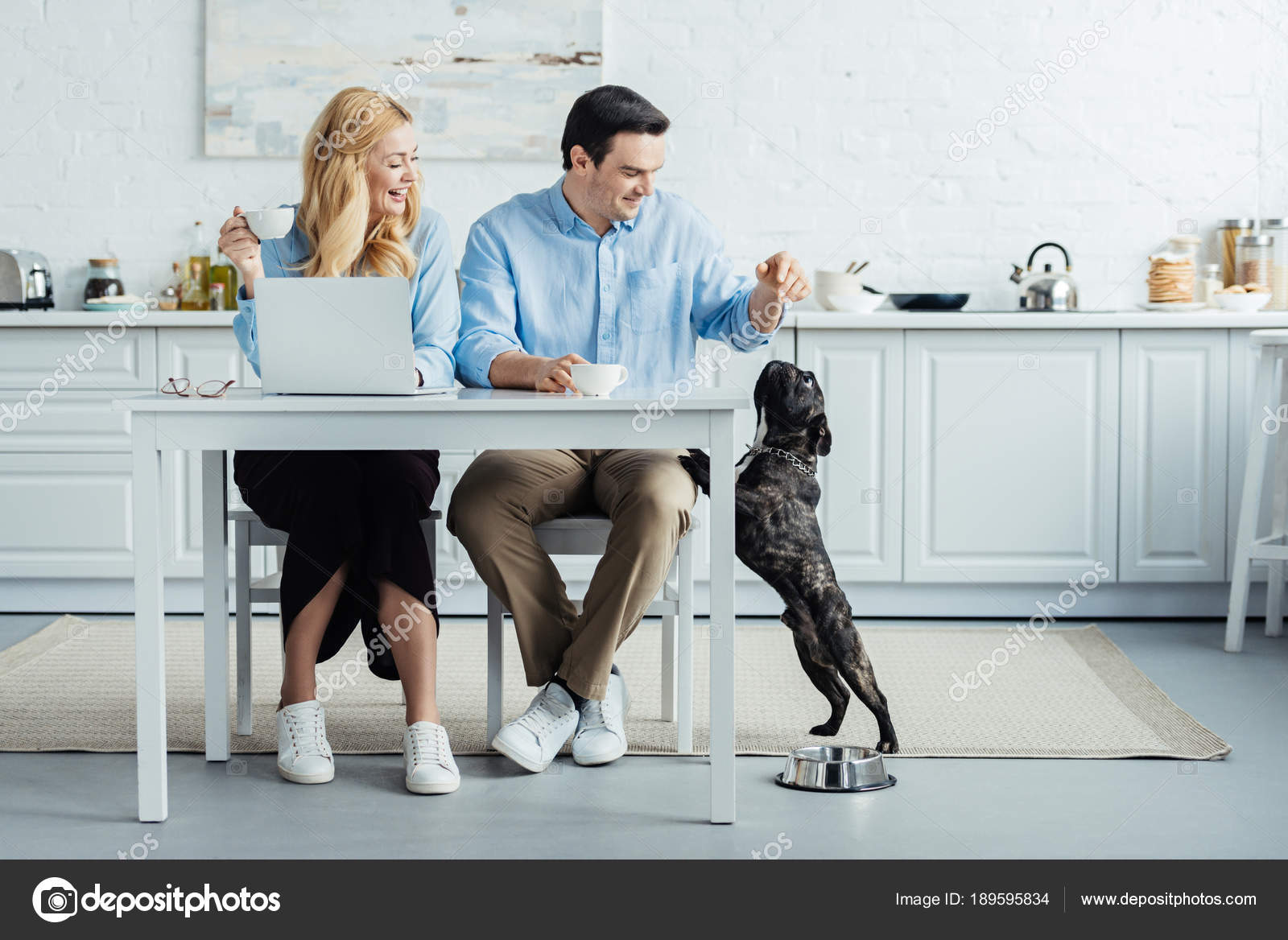 Man Woman Drinking Coffee Playing Dog Kitchen Table Laptop Stock Man Woman Drinking Coffee Playing Dog Kitchen Table Laptop Stock Photo