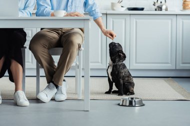 Köpek.