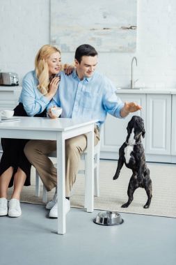 Kahve içme ve mutfak onların köpek ile oynayan kadın ve erkek