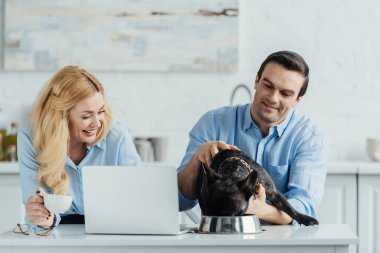 Gülümseyen iki Fransız köpekleri mutfak masasının üstünde laptop ile besleme.