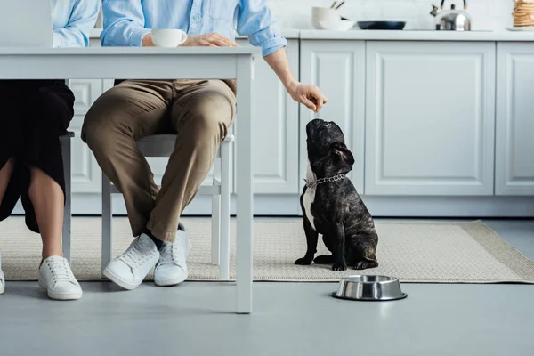 Cão — Fotografia de Stock