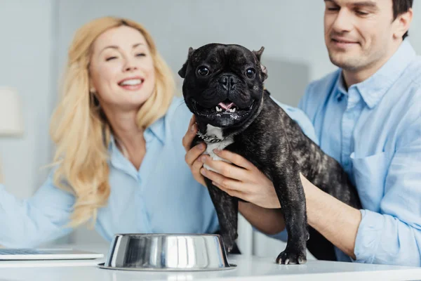 Man Kramas Fransk Bulldog Köksbordet Blonda Flickvän — Stockfoto